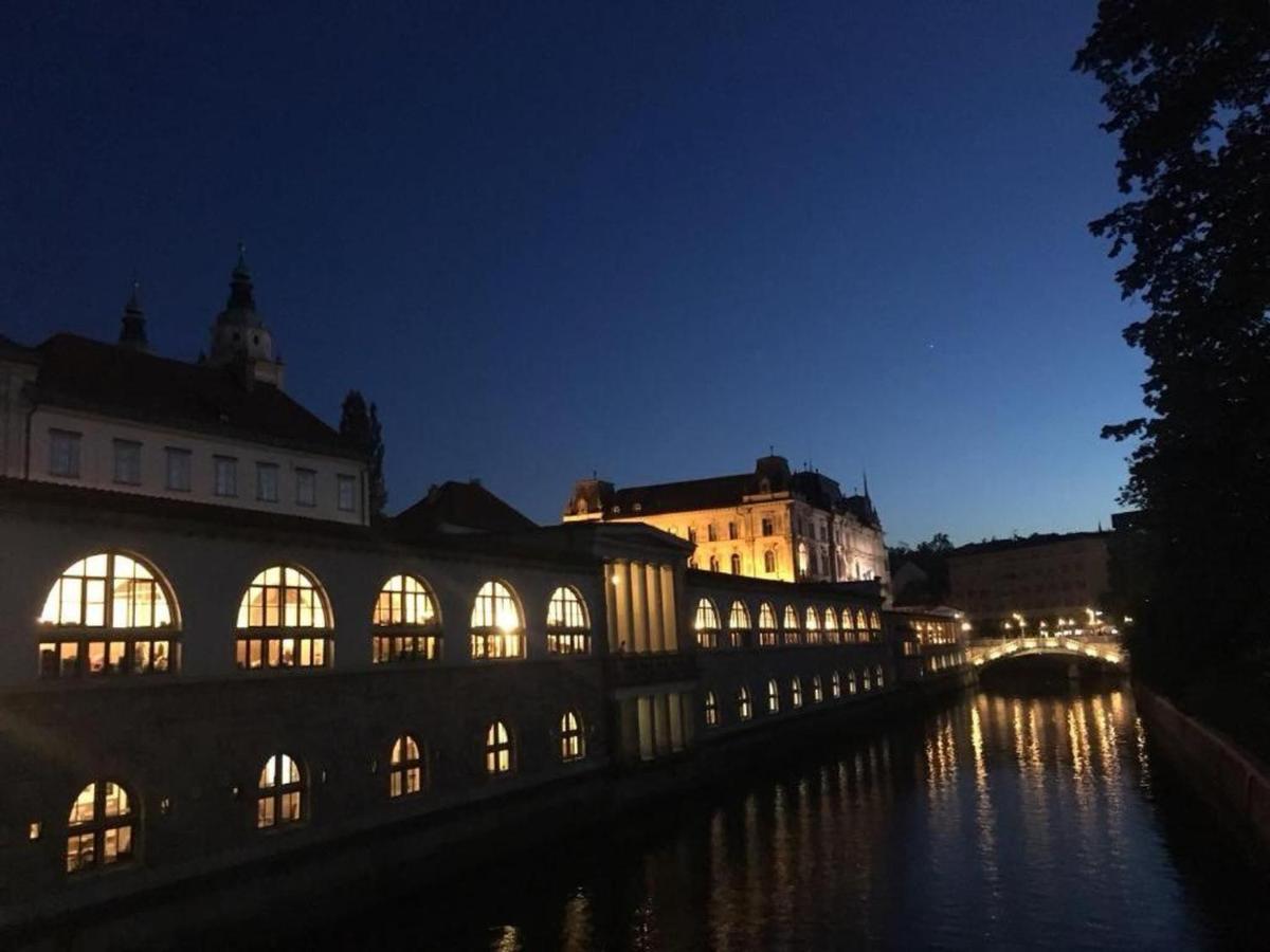 Apartment Central Station Between Dragon And Triple Bridges Lublana Zewnętrze zdjęcie