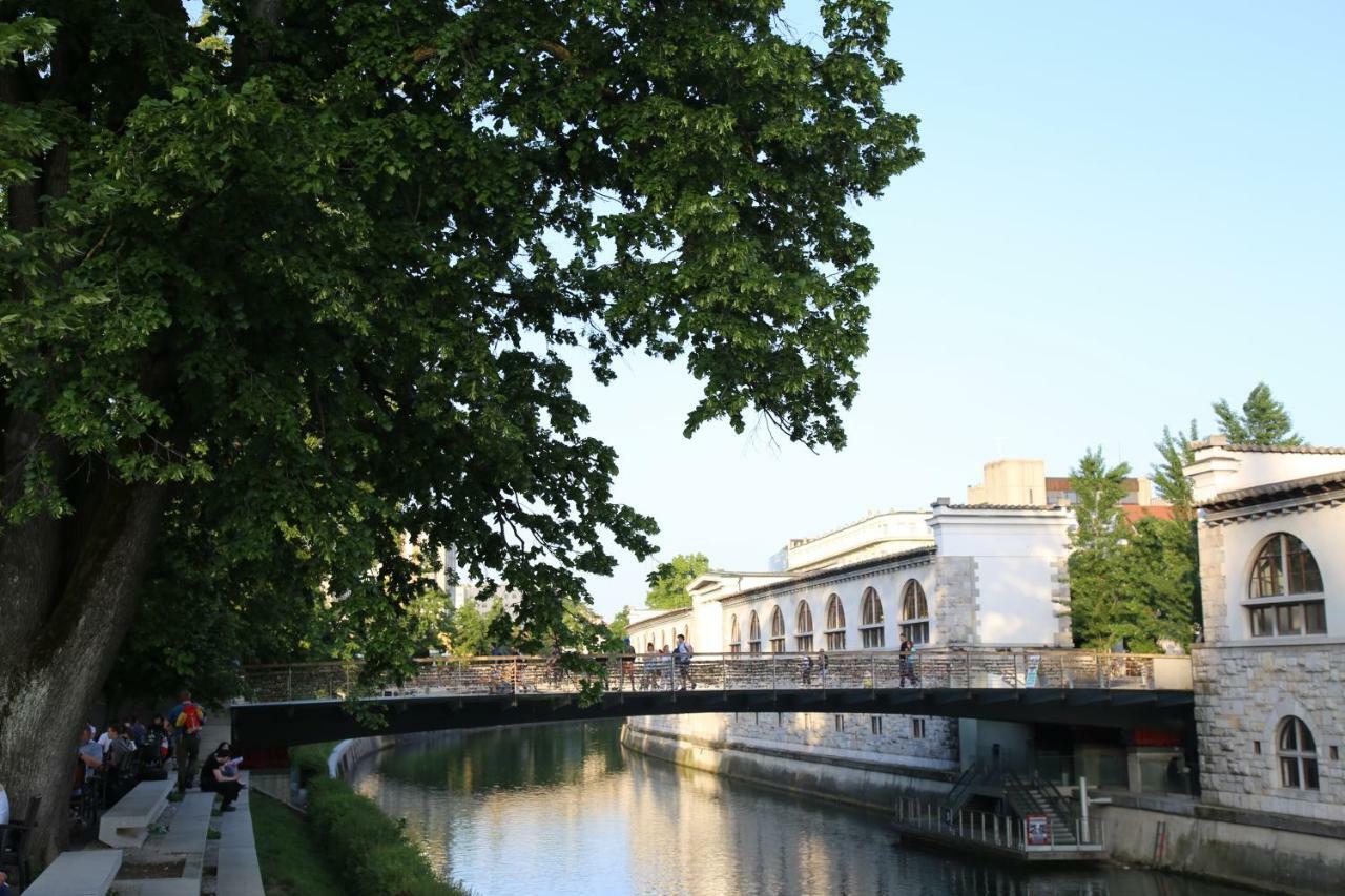 Apartment Central Station Between Dragon And Triple Bridges Lublana Zewnętrze zdjęcie